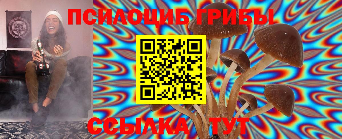 Галлюциногенные грибы Cubensis Пермь