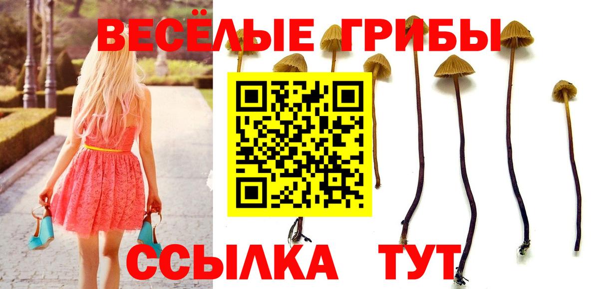 Галлюциногенные грибы мицелий  Вход с VPN  Пермь 